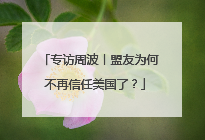 专访周波丨盟友为何不再信任美国了？