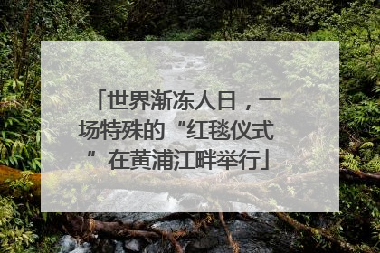世界渐冻人日，一场特殊的“红毯仪式”在黄浦江畔举行
