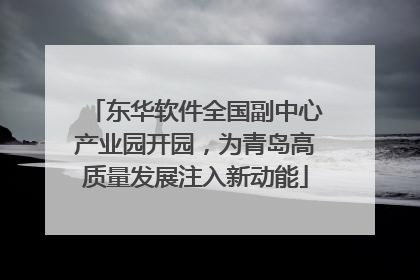 东华软件全国副中心产业园开园，为青岛高质量发展注入新动能