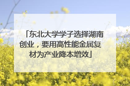 东北大学学子选择湖南创业，要用高性能金属复材为产业降本增效