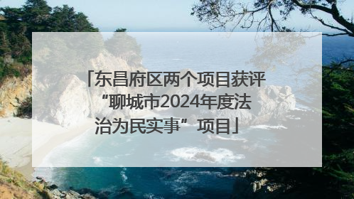 东昌府区两个项目获评“聊城市2024年度法治为民实事”项目