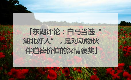 东湖评论：白马当选“湖北好人”，是对动物伙伴道德价值的深情褒奖