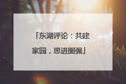 东湖评论：共建家园，思进图强
