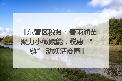 东营区税务：春雨润苗聚力小微赋能，税惠 “链” 动焕活商圈