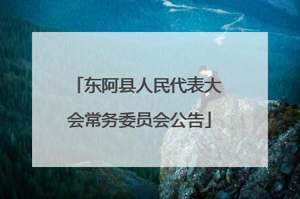 东阿县人民代表大会常务委员会公告