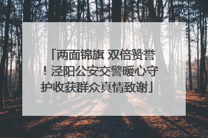 两面锦旗 双倍赞誉！泾阳公安交警暖心守护收获群众真情致谢