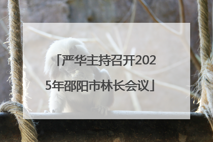 严华主持召开2025年邵阳市林长会议