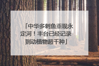 中华多刺鱼重现永定河！丰台已经记录到动植物超千种