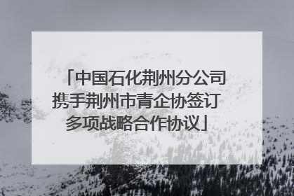中国石化荆州分公司携手荆州市青企协签订多项战略合作协议