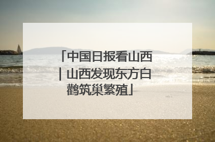 中国日报看山西｜山西发现东方白鹳筑巢繁殖