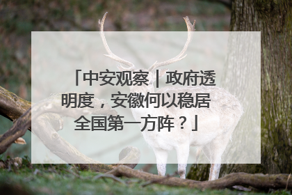 中安观察｜政府透明度，安徽何以稳居全国第一方阵？