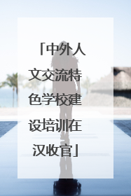 中外人文交流特色学校建设培训在汉收官