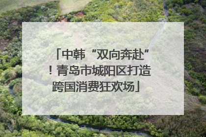 中韩“双向奔赴”！青岛市城阳区打造跨国消费狂欢场