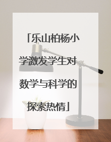 乐山柏杨小学激发学生对数学与科学的探索热情