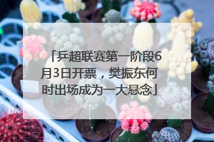 乒超联赛第一阶段6月3日开票，樊振东何时出场成为一大悬念