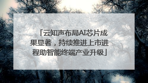 云知声布局AI芯片成果显著，持续推进上市进程助智能终端产业升级