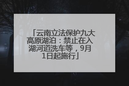 云南立法保护九大高原湖泊：禁止在入湖河道洗车等，9月1日起施行