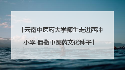 云南中医药大学师生走进西冲小学 播撒中医药文化种子