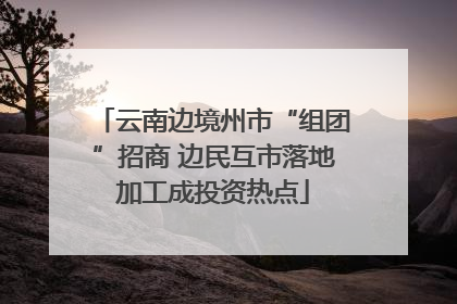 云南边境州市“组团”招商 边民互市落地加工成投资热点