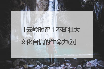 云岭时评丨不断壮大文化自信的生命力②