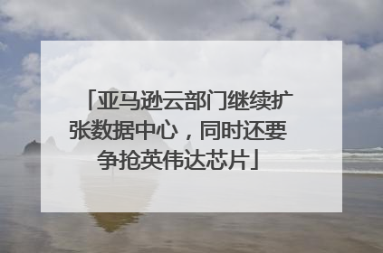 亚马逊云部门继续扩张数据中心，同时还要争抢英伟达芯片