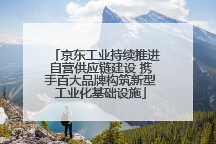 京东工业持续推进自营供应链建设 携手百大品牌构筑新型工业化基础设施