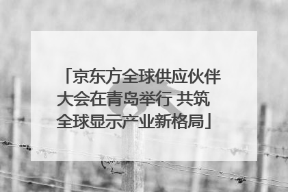 京东方全球供应伙伴大会在青岛举行 共筑全球显示产业新格局