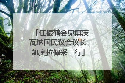 任振鹤会见博茨瓦纳国民议会议长凯奥拉佩采一行