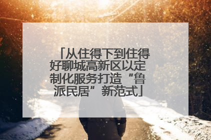 从住得下到住得好聊城高新区以定制化服务打造“鲁派民居”新范式