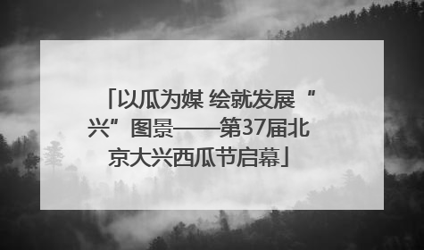 以瓜为媒 绘就发展“兴”图景——第37届北京大兴西瓜节启幕