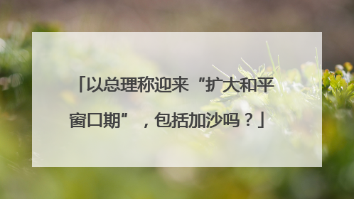 以总理称迎来“扩大和平窗口期”，包括加沙吗？