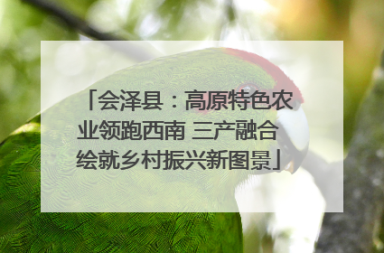 会泽县：高原特色农业领跑西南 三产融合绘就乡村振兴新图景