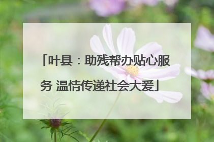 叶县：助残帮办贴心服务 温情传递社会大爱
