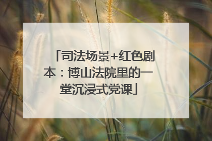 司法场景+红色剧本：博山法院里的一堂沉浸式党课