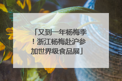 又到一年杨梅季！浙江杨梅赴沪参加世界级食品展