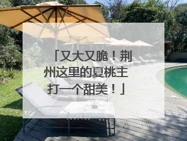 又大又脆！荆州这里的夏桃主打一个甜美！