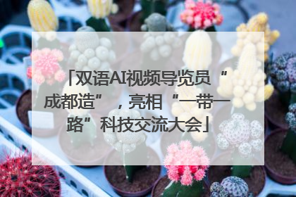 双语AI视频导览员“成都造”，亮相“一带一路”科技交流大会