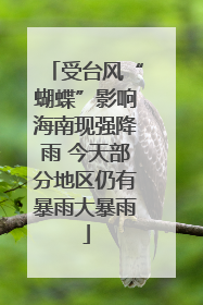 受台风“蝴蝶”影响海南现强降雨 今天部分地区仍有暴雨大暴雨