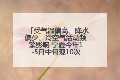 受气温偏高、降水偏少、冷空气活动频繁影响 宁夏今年1-5月中旬现10次定级沙尘天气过程