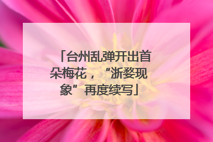台州乱弹开出首朵梅花，“浙婺现象”再度续写