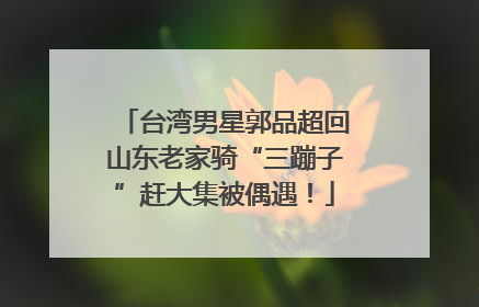 台湾男星郭品超回山东老家骑“三蹦子”赶大集被偶遇！