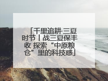 千里追耕·三夏时节丨战三夏保丰收 探索“中原粮仓”里的科技感