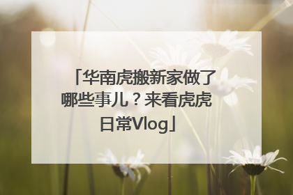 华南虎搬新家做了哪些事儿？来看虎虎日常Vlog