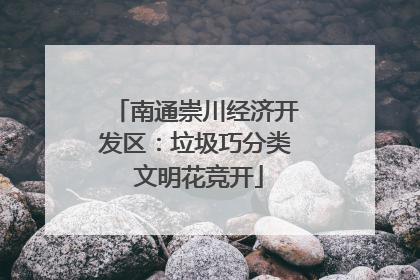 南通崇川经济开发区：垃圾巧分类 文明花竞开