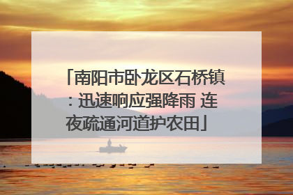 南阳市卧龙区石桥镇：迅速响应强降雨 连夜疏通河道护农田