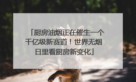 厨房油烟正在催生一个千亿级新赛道！世界无烟日里看厨房新变化