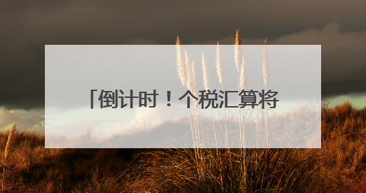 倒计时！个税汇算将于6月30日截止