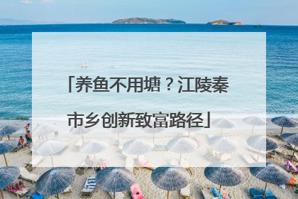 养鱼不用塘？江陵秦市乡创新致富路径