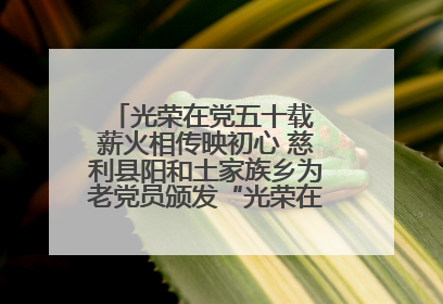 光荣在党五十载 薪火相传映初心 慈利县阳和土家族乡为老党员颁发“光荣在党50年”纪念章