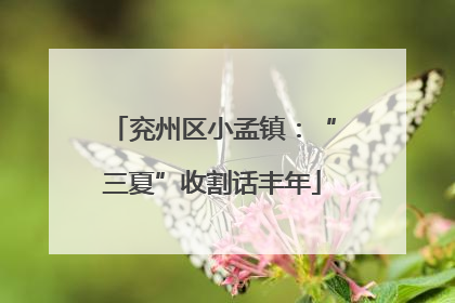 兖州区小孟镇：“三夏”收割话丰年